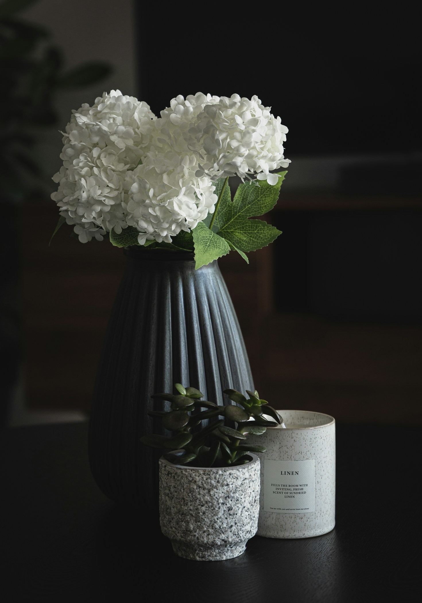 The Role of Plants in Enhancing Indoor Ambiance